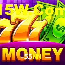 Premium Interface 55NN